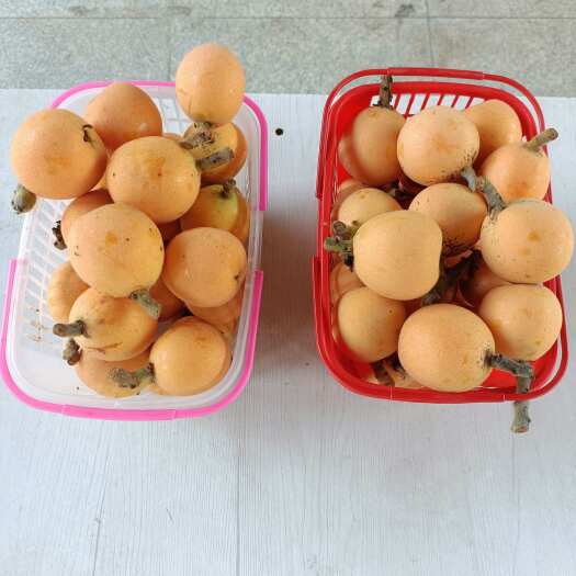 安康瀛湖枇杷，个头大皮薄肉厚汁多酸甜可口