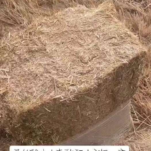 安庆小麦秸秆小套袋