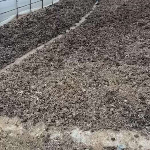 安顺农资农用纯鸡粪