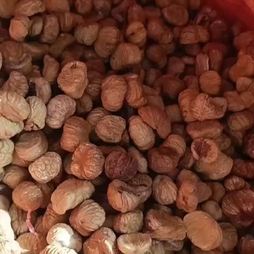 遵化市风干栗仁