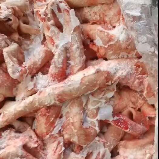 阳信县牛心管