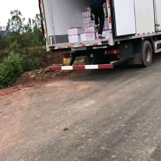 会理市玫瑰红香甜脱骨李子