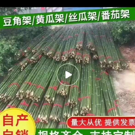 双牌县竹竿菜园搭架户外竹杆架种菜彩旗杆豆角架黄瓜架菜架小竹子细竹竿