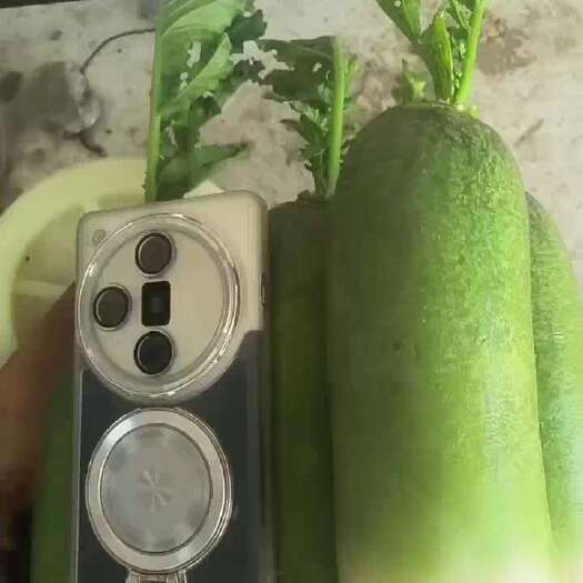淮南现货现发