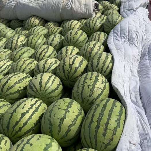 宁化县新疆金城5号，甜，皮薄