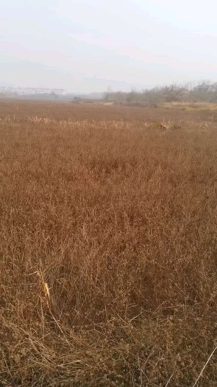 湖南衡阳地区山地 旱地 水田村集体资源出租