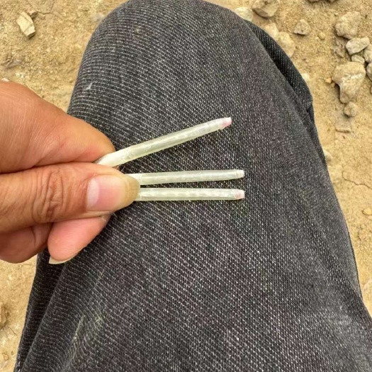 肇庆100日，清远棚鹅，烧鹅，白条鹅，碌鹅。