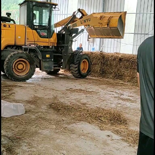 古蔺县曲药草