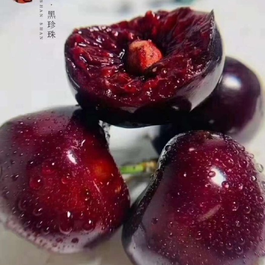汉源县汉源九襄高山车厘子