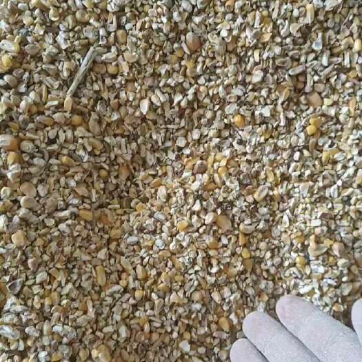 唐河县净粮碎玉米