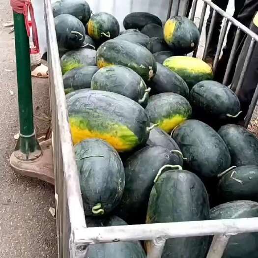 南宁黑美人西瓜