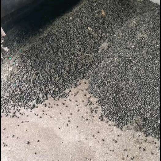 长兴县纯羊粪蛋需要的老板可以联系我