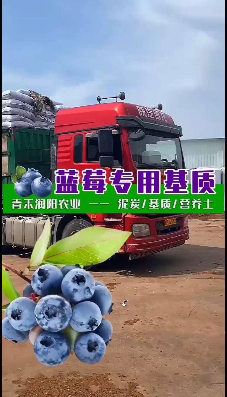蓝莓专用基质 100升 酸性泥炭基质 蓝莓栽培基质
