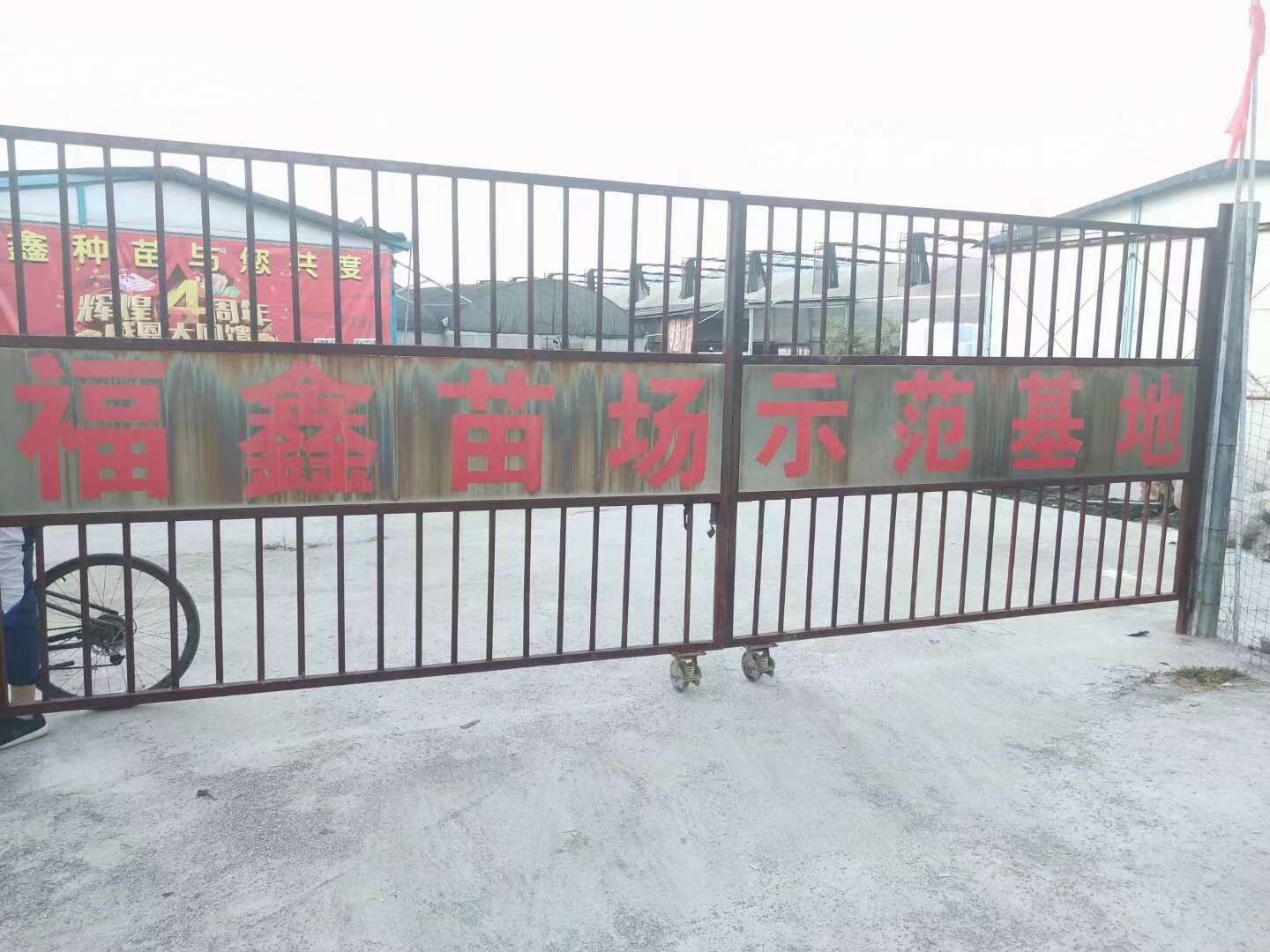 福鑫種苗小宋同志