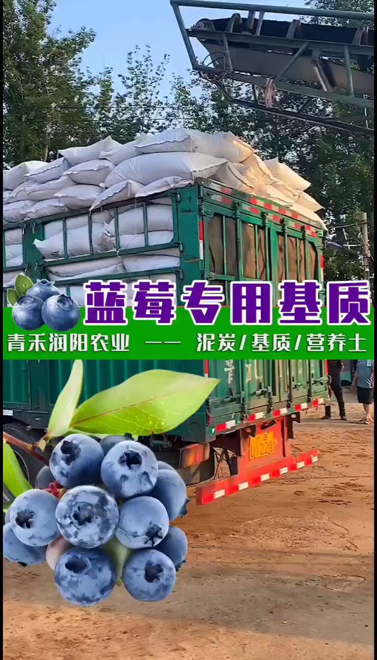 蓝莓专用基质 100升 酸性泥炭基质 蓝莓栽培基质