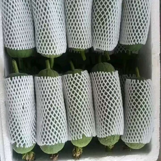 漳州精品肉丝瓜