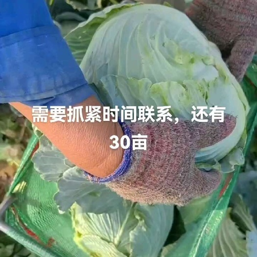 抓紧时间，货不多了