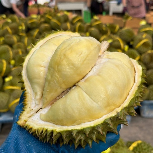 凭祥市榴莲