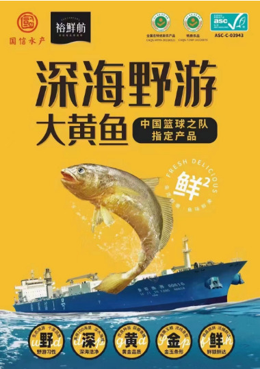青岛裕鲜舫深海游大黄鱼