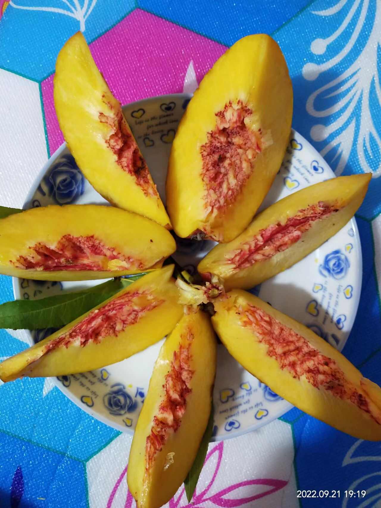 文文果業(yè)
