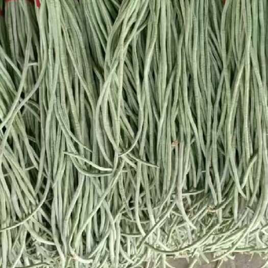 莘县长豆角