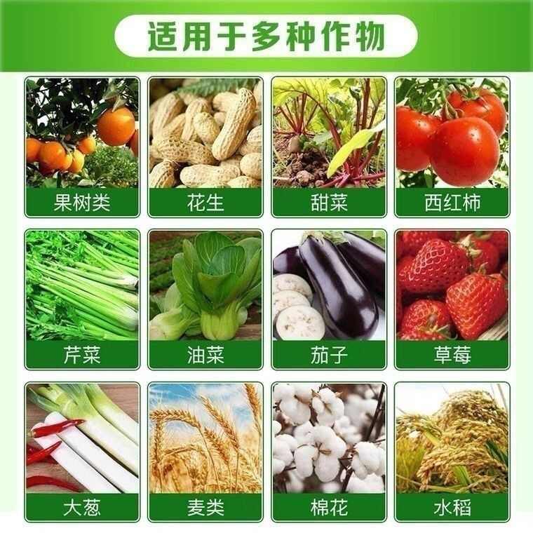 騰飛化工