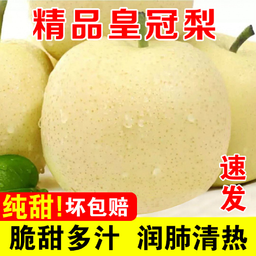皇冠 河北石家庄晋州产地直供 纸箱装精品果 果径60mm以上