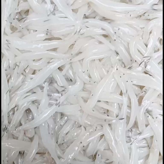 10-12解冻质量嘎嘎好