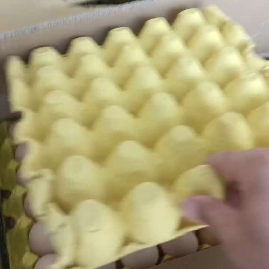 馆陶县粉壳蛋