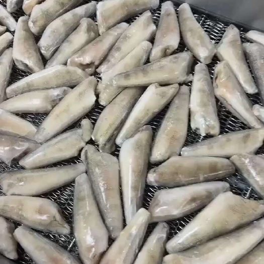 荣成市南极冰鱼