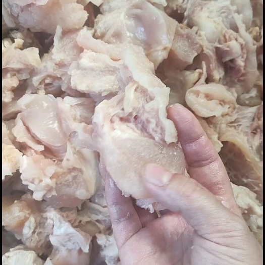 阳信县熟筋头巴脑每天出新货，质量好，价格优