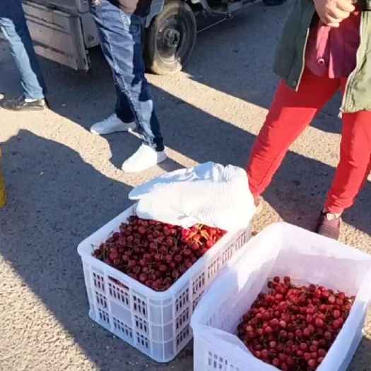 秦皇岛红灯