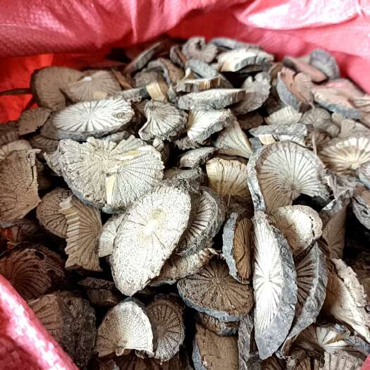 青风藤新货无硫熏自然晒干2023一手货源
