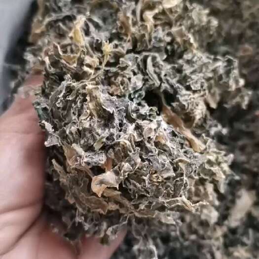 单县花菜叶子梅干菜已蒸，九成干，打架子自然日光凉晒，量大从优。