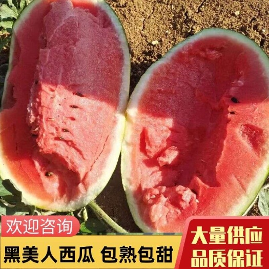 宜城市精选优质黑美人西瓜，大量上市产地直发品质保障 可视频考察看货