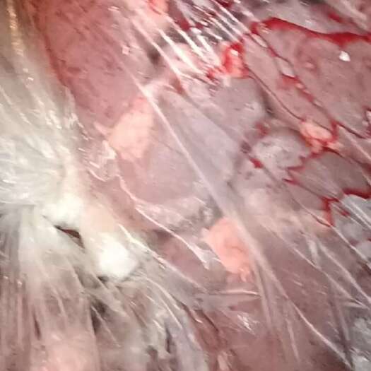 长沙麻电鲜猪腰