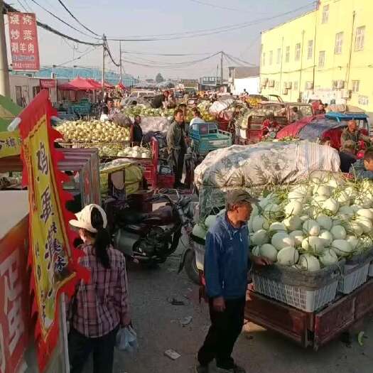 滑县玉菇