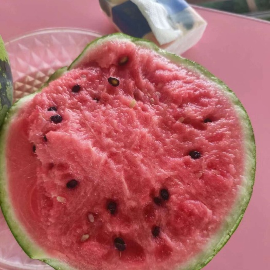 眉山8424西瓜、美都货源充足，需要货的老板可通过惠农网联系我