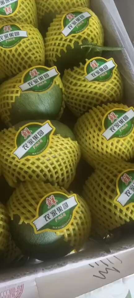 内黄县绿宝甜瓜