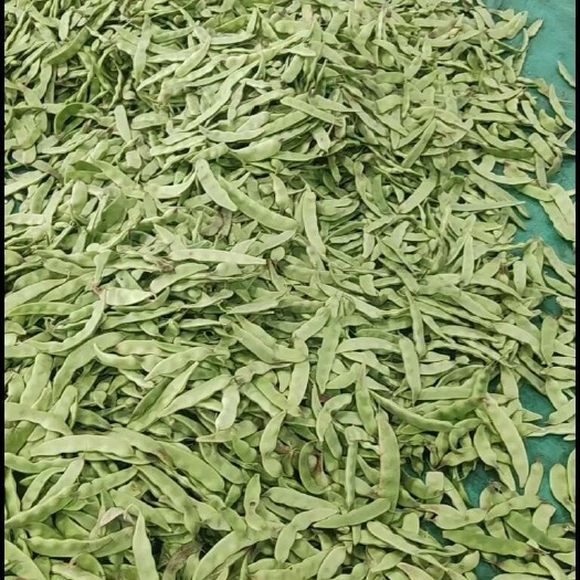 北镇市豆角