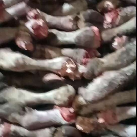 牛蹄有货，价格合适