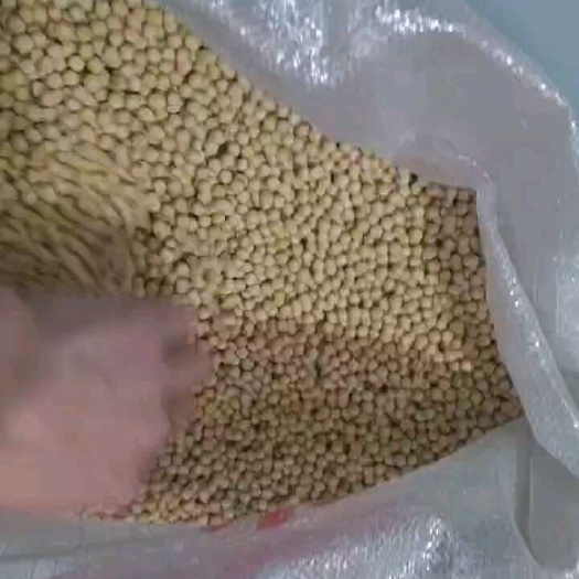 精品大豆