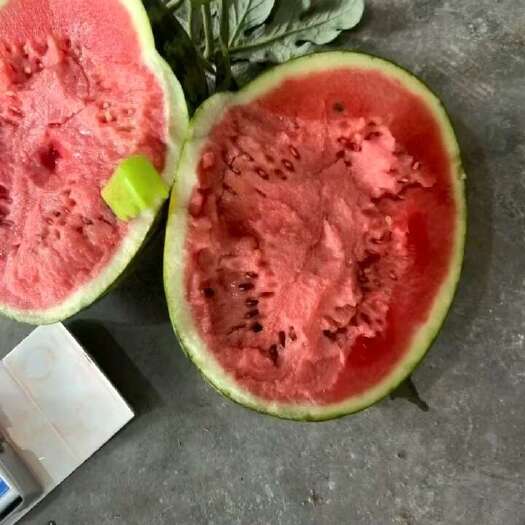 莒县西瓜大量现货，价格便宜大量现货