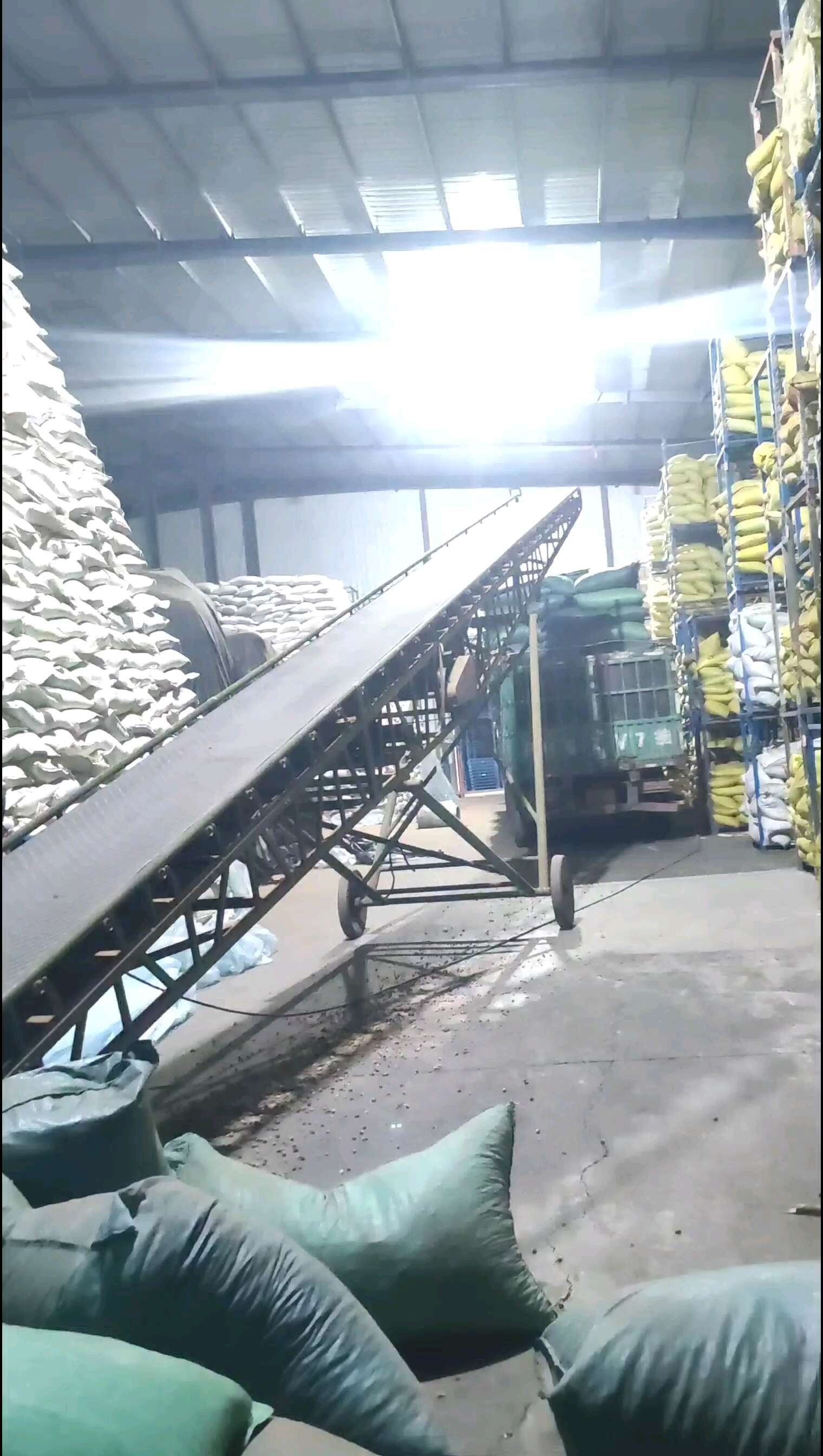 绵茵陈优质山东茵陈前期货白蒿过筛无土批发各种中药材量一手货源