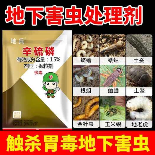 栾川县辛硫磷地下害虫处理剂花生红薯土豆杀蛴螬蝼蛄金针虫农药撒施