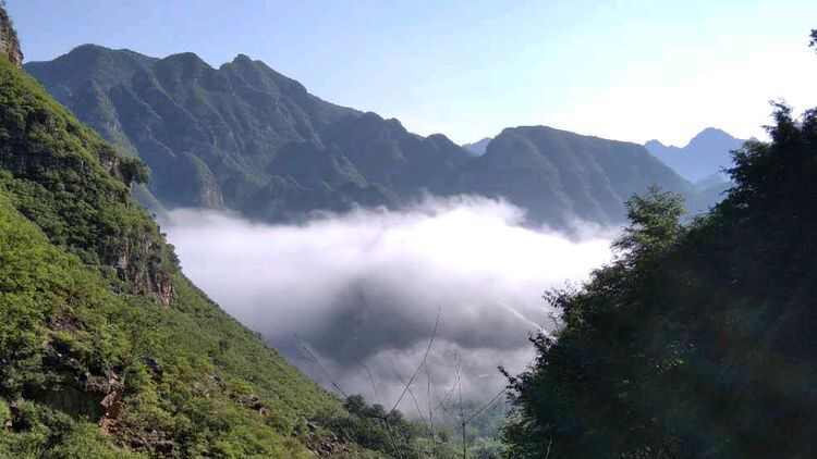 铜仁贵州黑山羊、本地山羊、生态养殖、草膘羊
