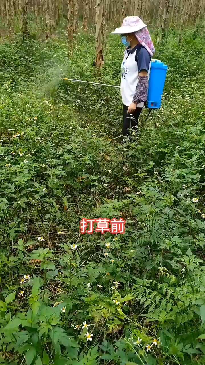 草甘膦铵盐农兴旺草甘磷一年生杂草和多年生恶性杂草除