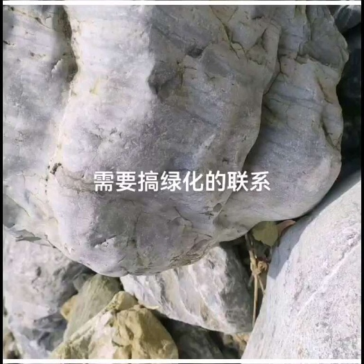 园林绿化需要的联系