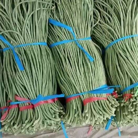 莘县大量上市豆角。
