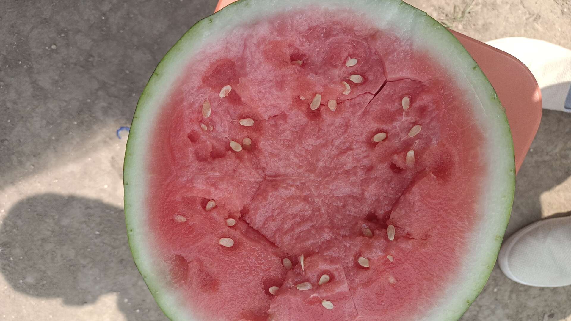 大量西瓜出售